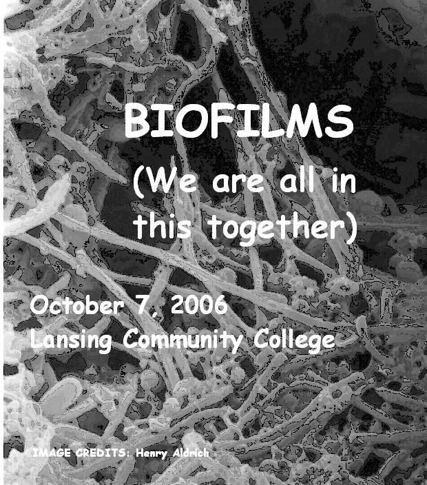 biofilm2.JPG (145444 bytes)